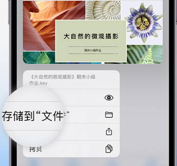 台前apple维修中心分享iPhone文件应用中存储和找到下载文件