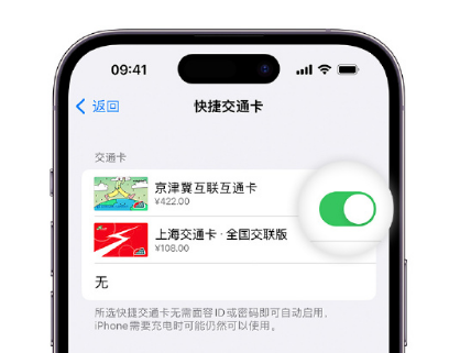 台前apple维修点分享iPhone上更换Apple Pay快捷交通卡手绘卡面 