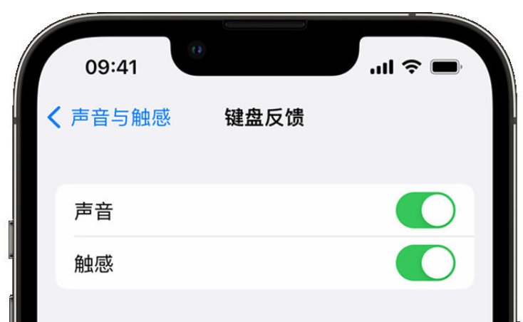 台前苹果手机维修分享iPhone 14触感键盘使用方法 