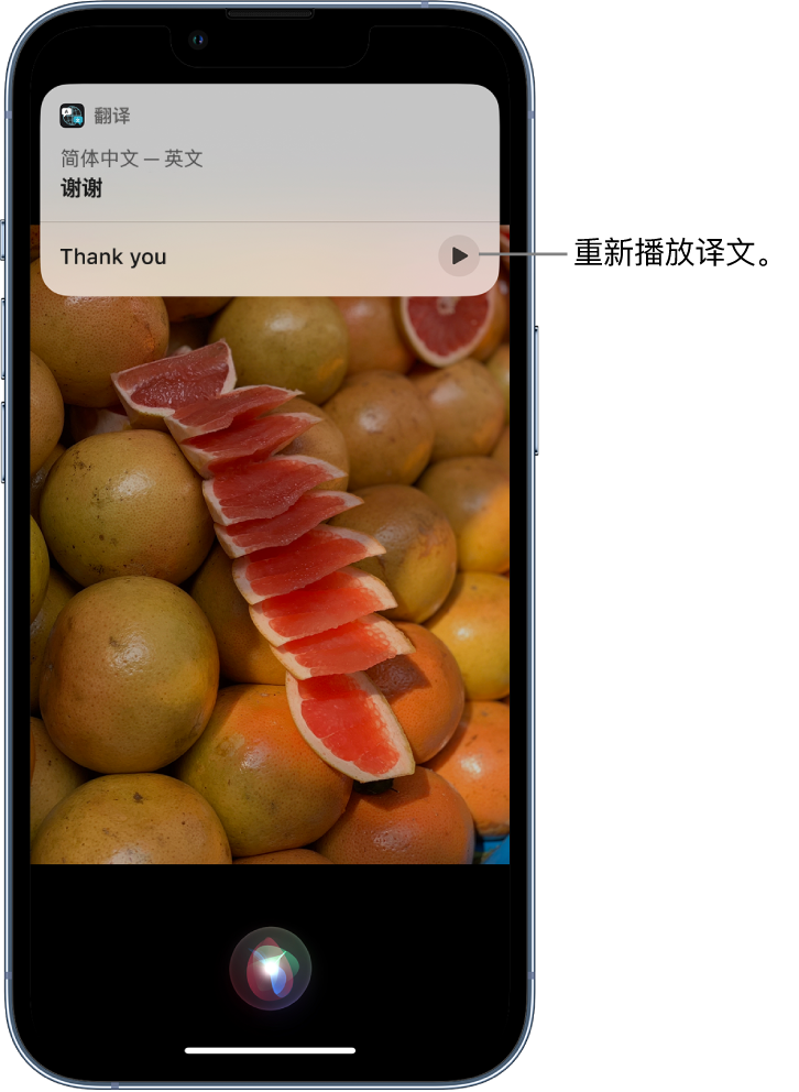 台前苹果14维修分享 iPhone 14 机型中使用 Siri：了解 Siri 能帮你做什么 