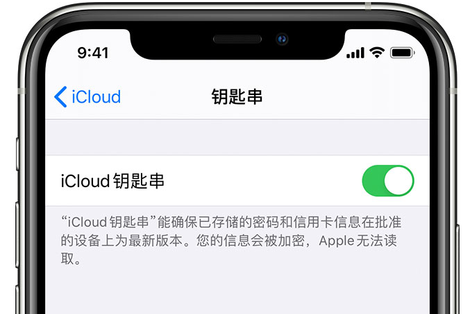 台前苹果手机维修分享在 iPhone 上开启 iCloud 钥匙串之后会储存哪些信息 